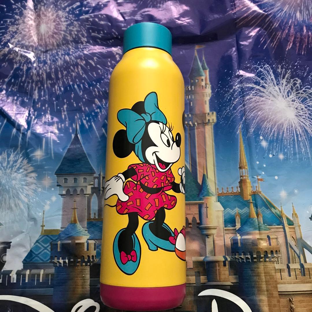 ディズニー　海外限定　水筒 630ml disneyland DLR WDW