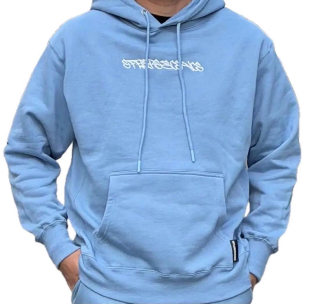 EFFLORESCENCE SPRAY ARTHOODIE 新品未使用