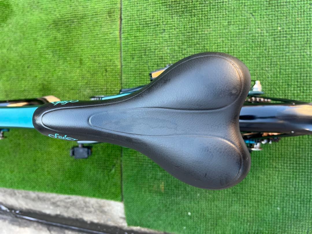 折りたたみ　電動アシスト自転車　Fiido X